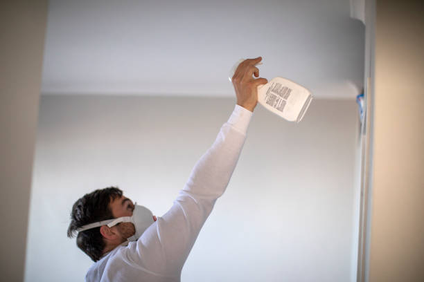 Best Post-Flood Mold Remediation in Belgrade, MT
